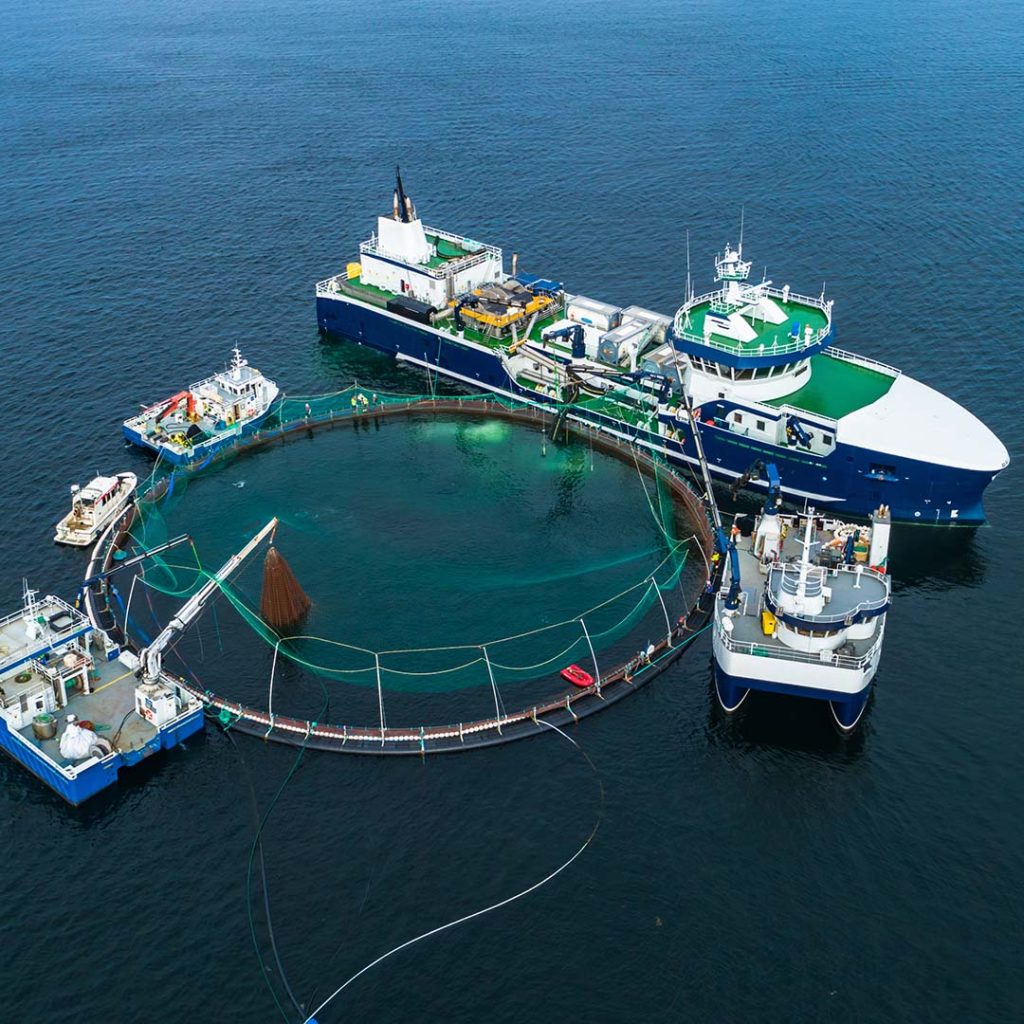 Við aðstoðum viðskiptavini um val á réttum hreinsi- og sótthreinsiefnum. Einnig getum við veitt ráðgjöf í smitvörnum og útrýmingu smits